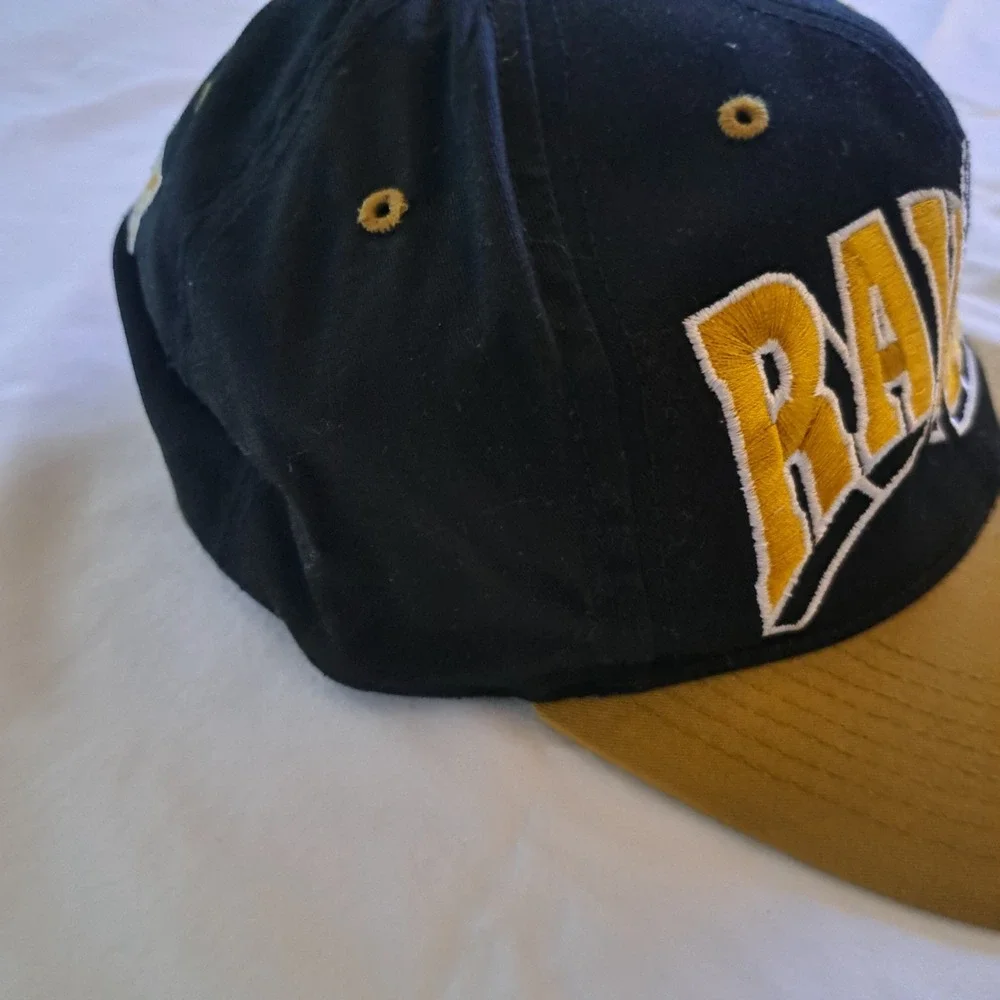 Baltimore Ravens NFL Team Vintage 